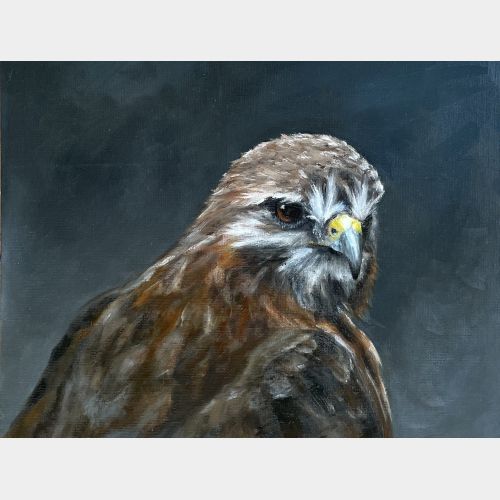 Buizerd olieverf 23.jpg