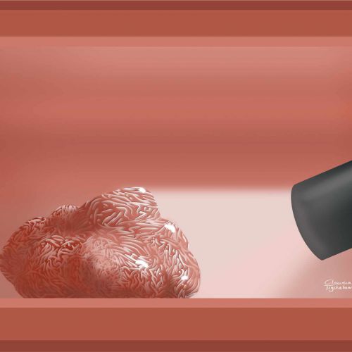 Poliep 3d white light merk.jpg